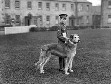 1917 Young IRISH GUARD & Dog