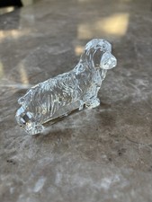 Waterford Cocker Spaniel