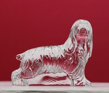 Waterford Crystal Cocker