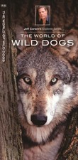 The World of Wild Dogs by
