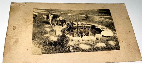 Rare vintage american pet - vintage,
