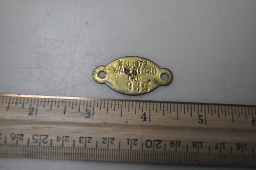 Vtg 1972 dog - , license