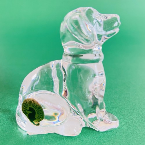Waterford crystal young - crystal,