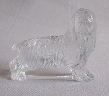 Standing Cocker Spaniel