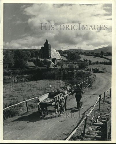 1948 press photo man and - press, dog
