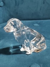 Waterford Labrador Dog